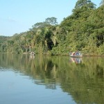 Selva Baja u Omagua
